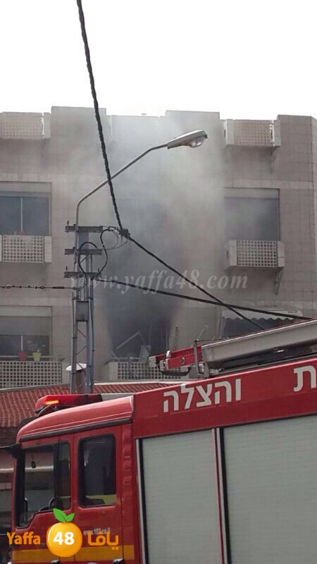 infejar hertsel yaffa 0323 (2).jpg